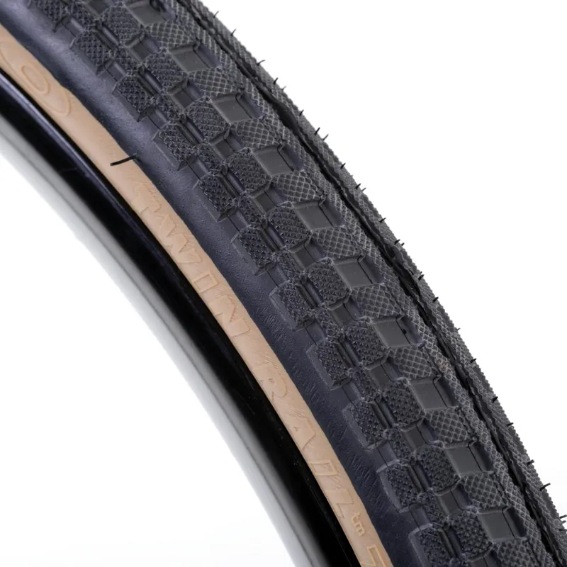 Schwalbe Big Ben Tyre-2