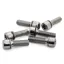 Gusset TS/S2 Stem Bolt Kit in Silver