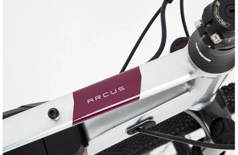 Ridgeback  Arcus 1 Open Frame -2