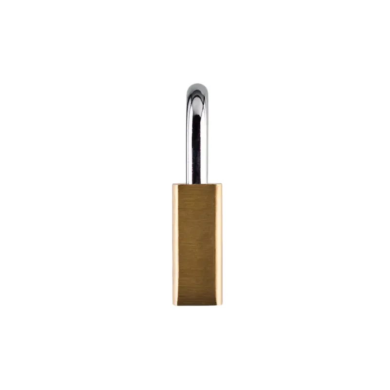 Squire LN3 30mm Solid Brass Padlock -2