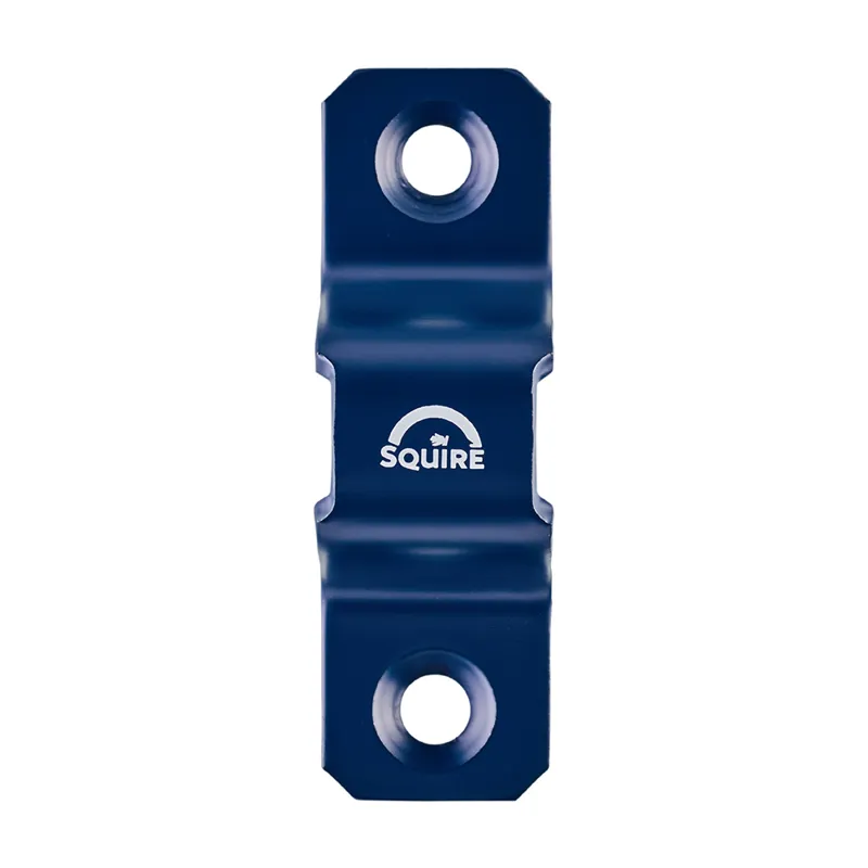Squire WA300 Peak - Security Wall Anchor-1
