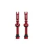Juice Lubes Tubeless Valves - 48mm in Red