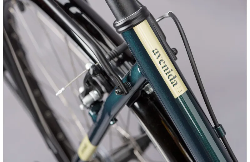 Ridgeback Avenida 6 Hybrid Bike in Green-6