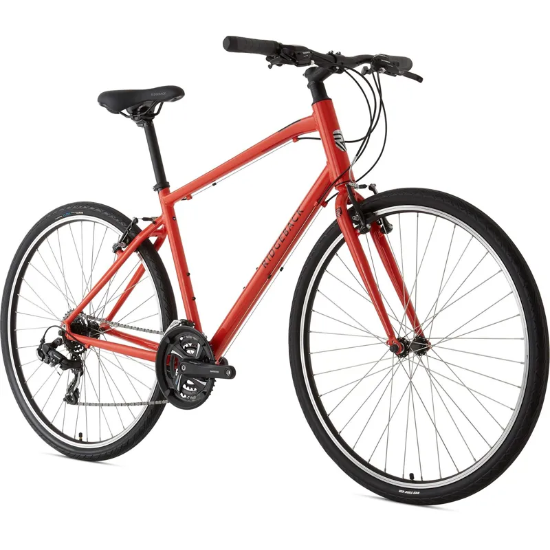 Ridgeback Motion Hybrid Bike-1
