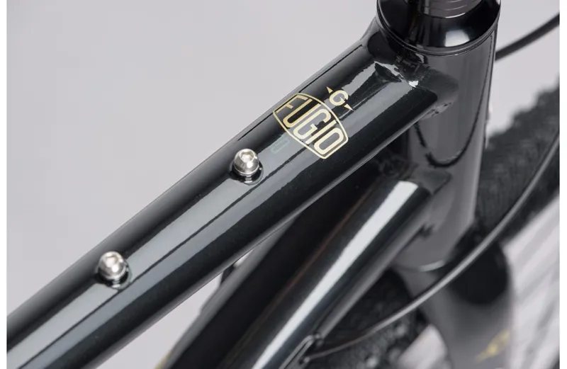 Genesis Fugio 10 Gravel Bike in Green-2