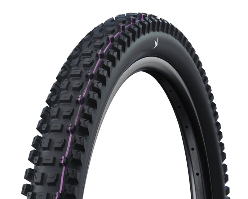 Schwalbe Albert Gravity Pro 29 Tyre in Black - 2.50/ 2.60-1