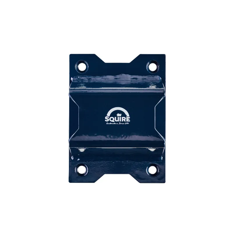 Squire GA7 Everest - High-Security Ground and Wall Anchor-1