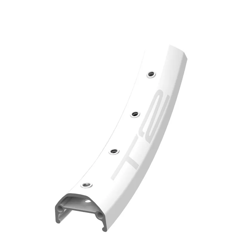 T2 24 inch  Rim White 3-1