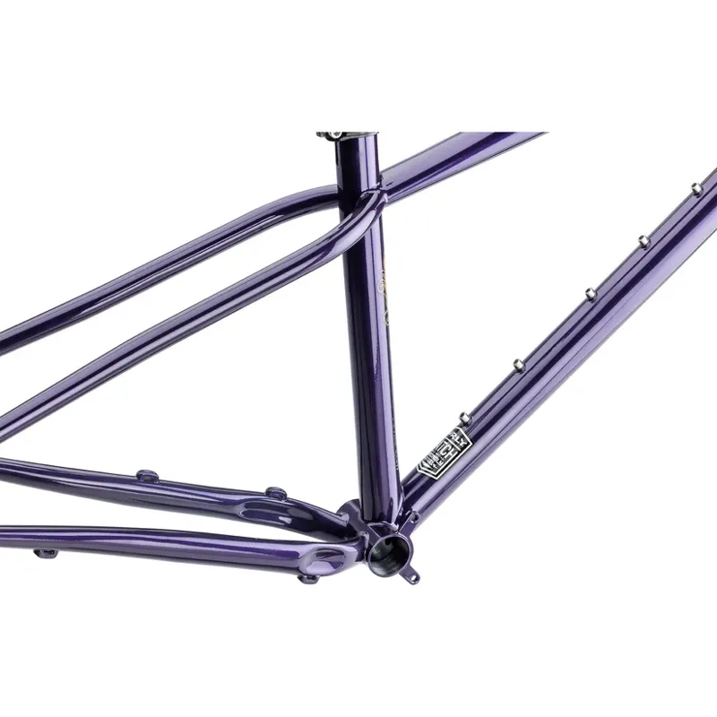 Surly Sorceress Frame in Elderberry Tonic-4