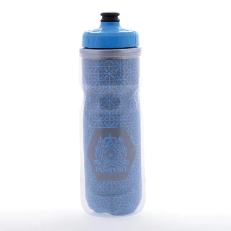 Passport Frostbright Insulated Reflective Water Bottle in Silver/Blue